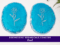 Birthstone Botanicals Coaster march edition3. Kirnix Listing variation 1