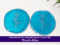 Birthstone Botanicals Coaster march edition3. Kirnix Listing with banner