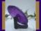 Birthstone Botanicals Feb Edition_1. Kirnix Listing Video