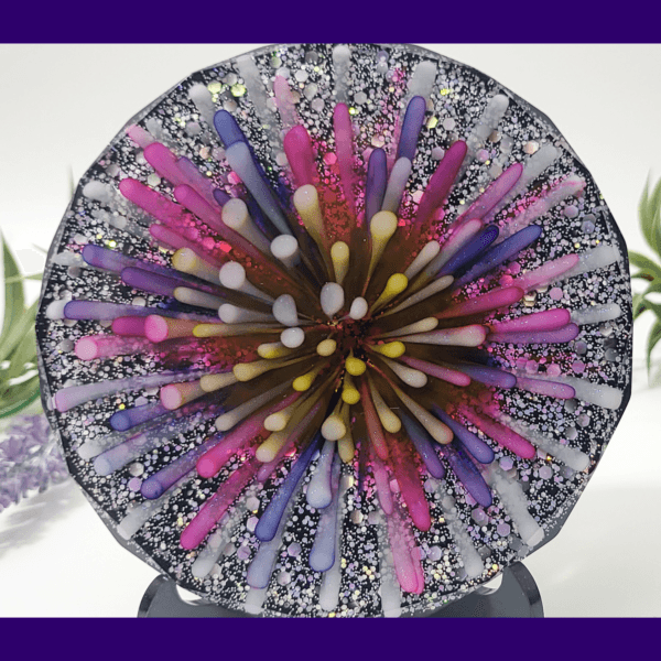 Firework Bloom Coaster
