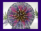 FIREWORK BLOOM2. Kirnix Listing Primary