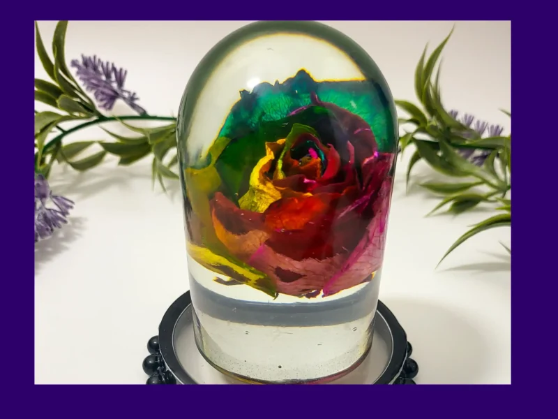 Front view of a clear resin dome with a vibrant multicolour rose preserved inside, photographed with greenery behind.