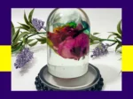 Side angle of the clear resin dome showing layered petals and colour shifts inside the preserved rose.