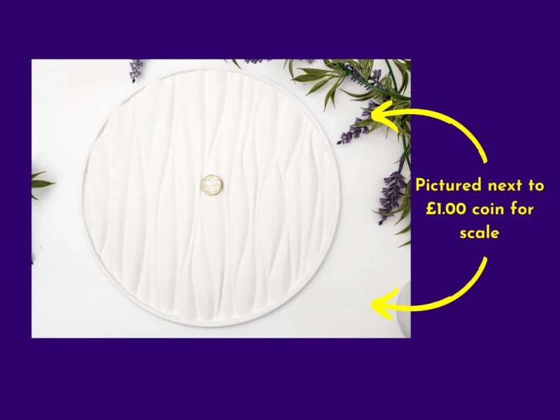 Wave tray pictured with a £1 coin in the centre for scale, with yellow text callout on a purple background.