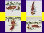 Four-photo grid of the Fire axolotl showing multiple angles on a white background with greenery.